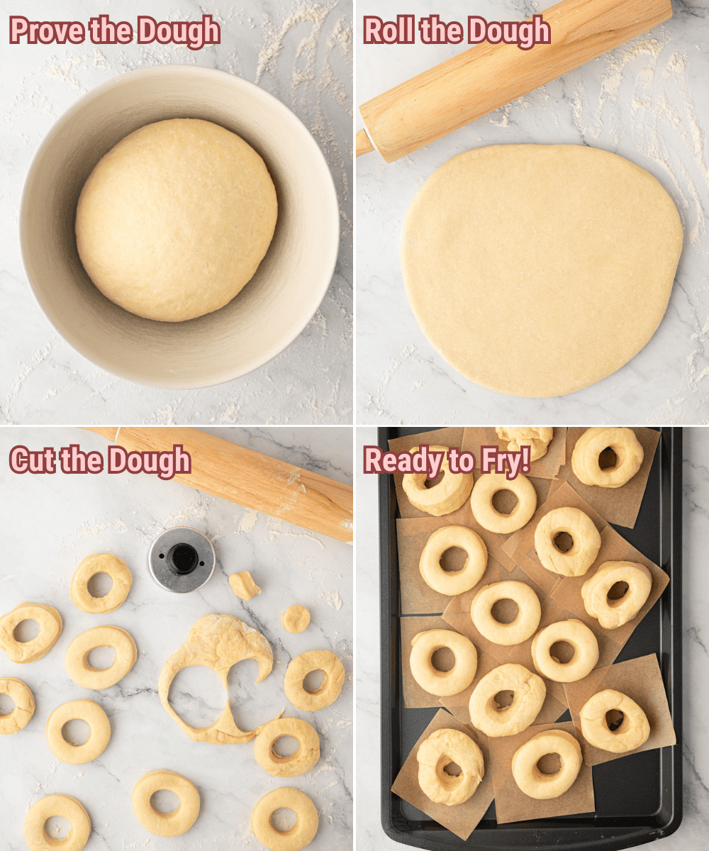 A four-photo grid showing the step-by-step process of making ring doughnuts: proofing the yeast dough, rolling it flat, stamping out donut rings with a cutter, and letting the unbaked doughnuts rise on parchment paper.
