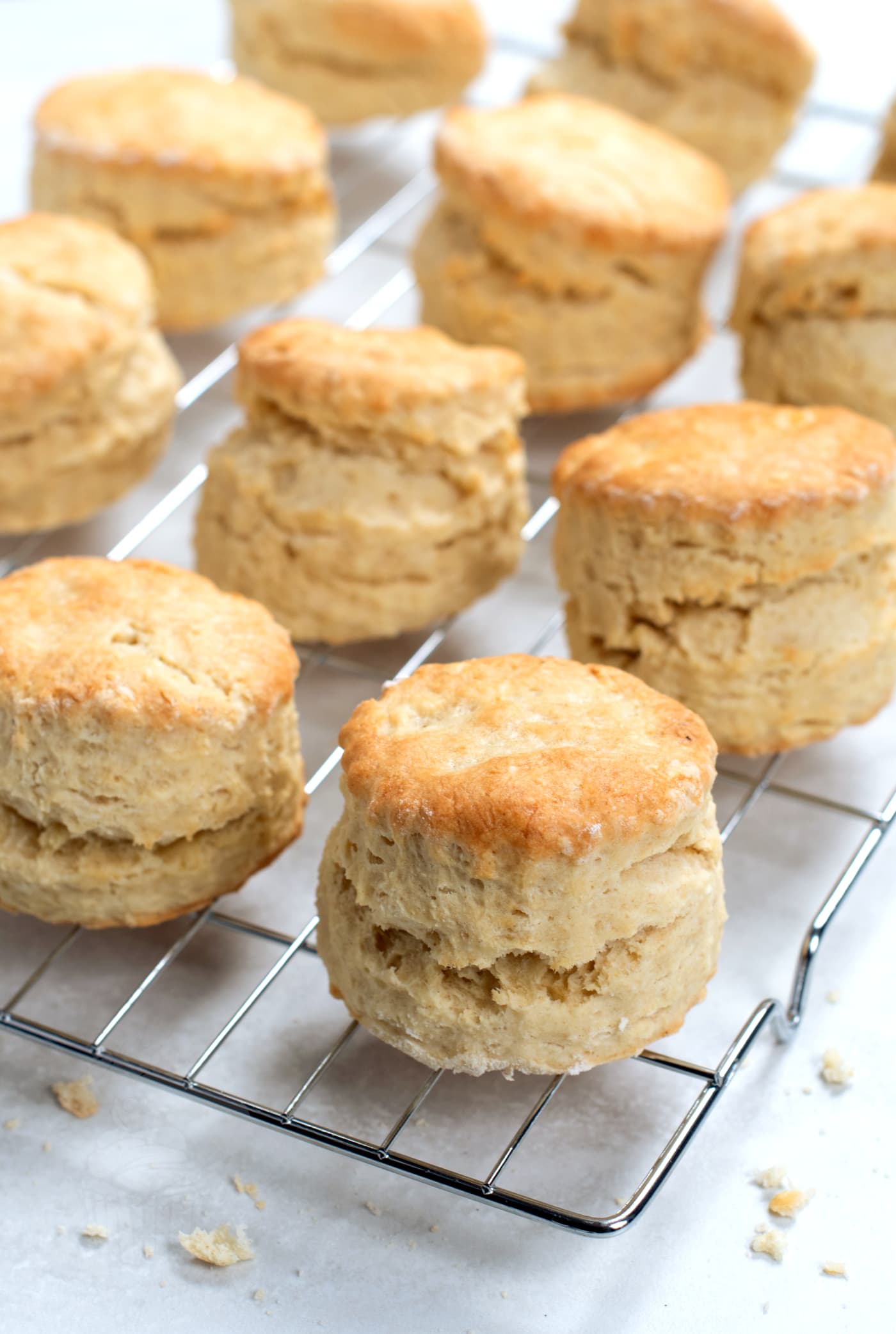 Golden plain scones cooling on a wire rack with natural splits through the middle.