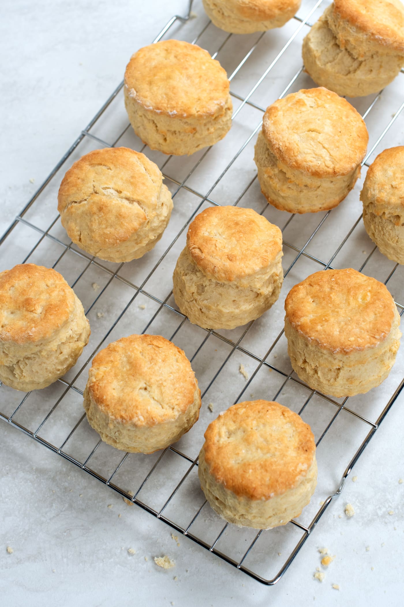 Freshly baked plain scones with golden tops cooling on a wire rack.