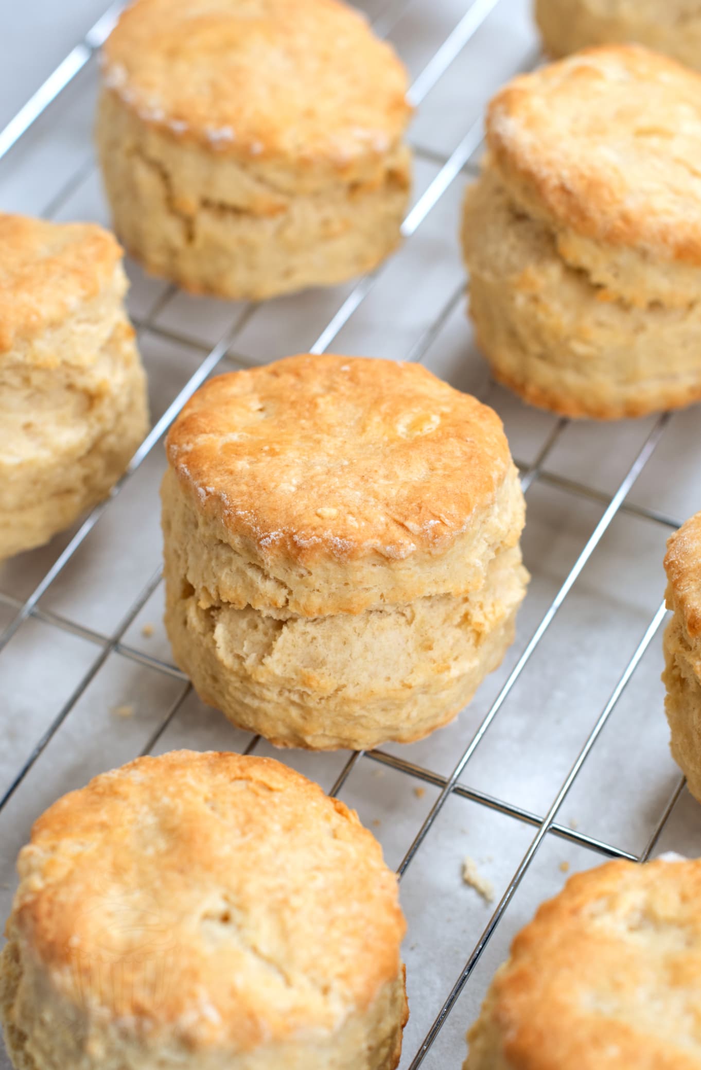 Golden plain scone with a natural split through the middle on a cooling rack.